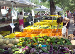 Independent Farmers Markets Requirements