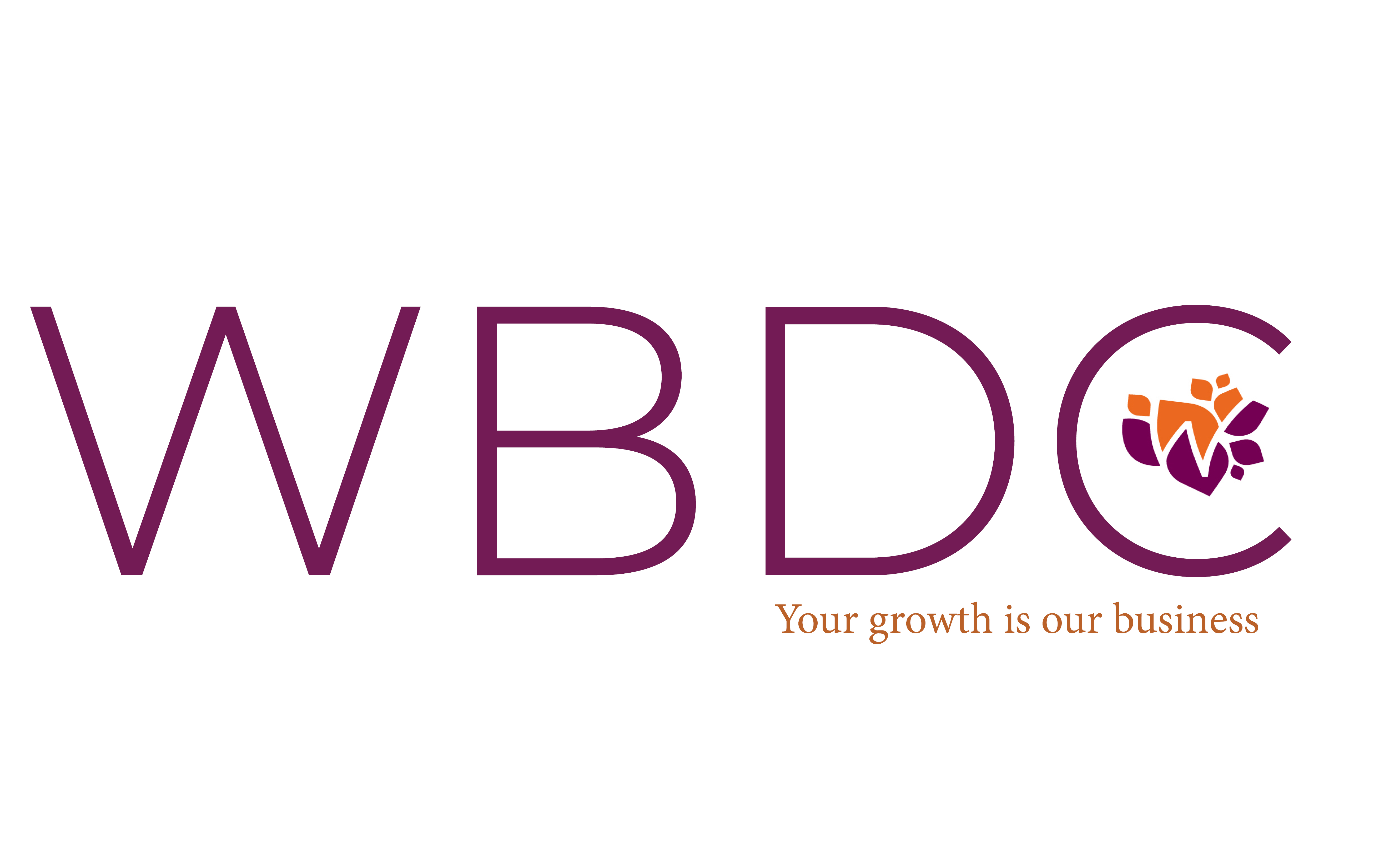 WBDC icon